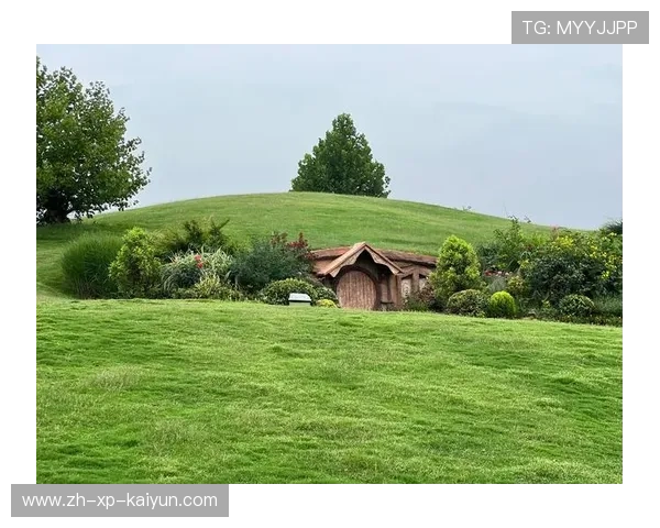 _瑞士草地赛：盛夏中的田园盛宴，精彩纷呈_，瑞士 草原