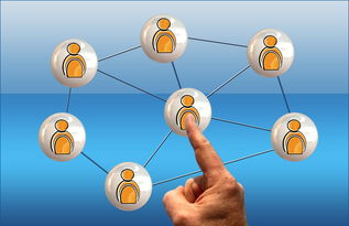 kaiyun-英超球员社交媒体互动提升粉丝忠诚度研究，英超球队球迷